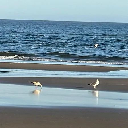 Flamencos Ii Isla Canela *